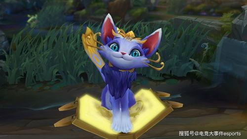 魔法猫咪设计师爆料视频,设计师爆料视频大公开